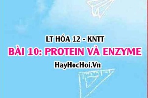 Tính chất hóa học, vật lí của Protein? Khái niệm, cấu tạo Protein, vai trò của Protein, Enzyme? Hóa 12 bài 10 KNTT